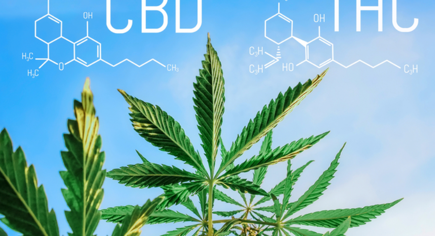 Se sevrer du THC avec le CBD