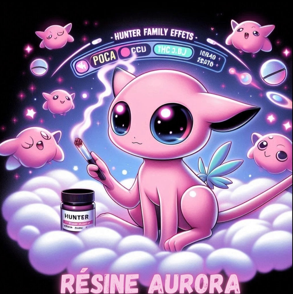 RÉSINE AURORA